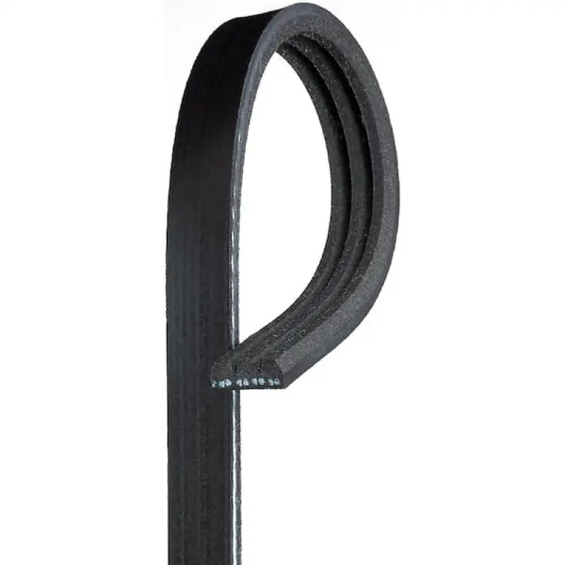 K030243 Gates Corp V-Ribbed Belt - Serpentine