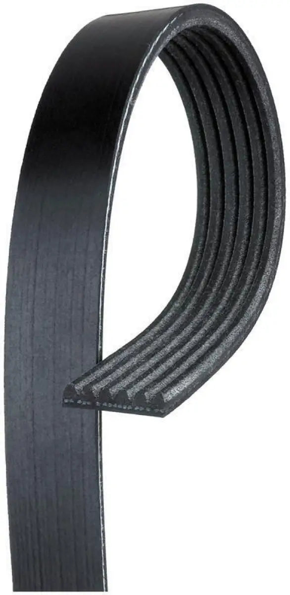 K060499 Gates Corp V-Ribbed Belt - Belts Oem