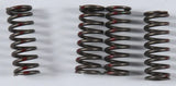 KGS-031 High Performance Spring Set