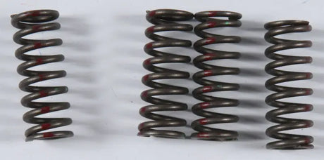 KGS-031 High Performance Spring Set