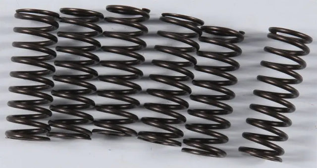 KGS-807 High Performance Spring Set