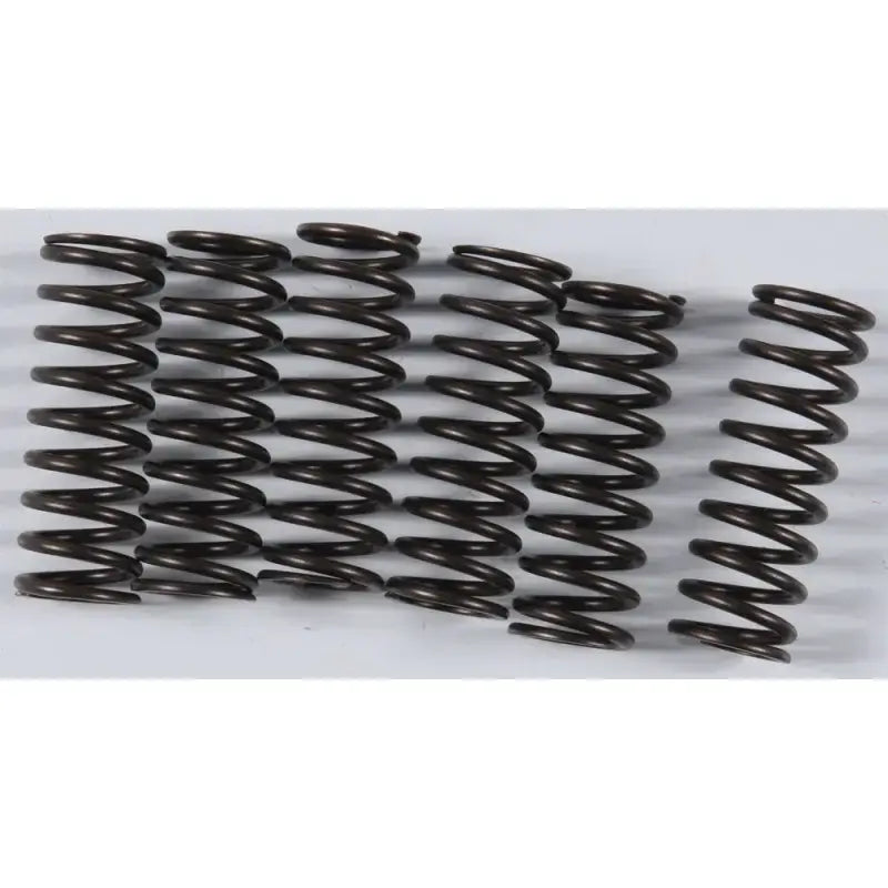 KGS-807 High Performance Spring Set