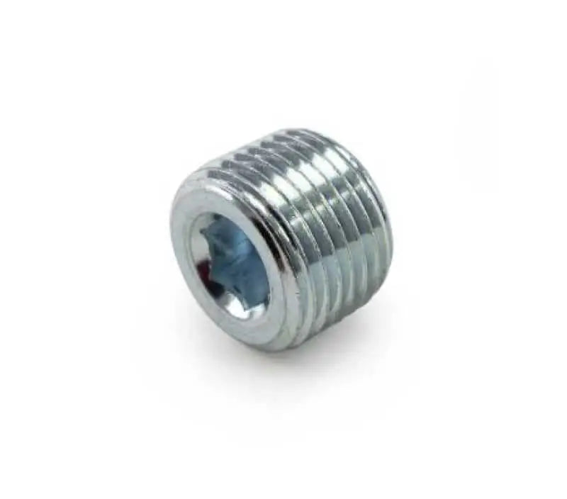 Killer B Motorsport Killer B 1/2in NPT Chrome Plated Steel Plug