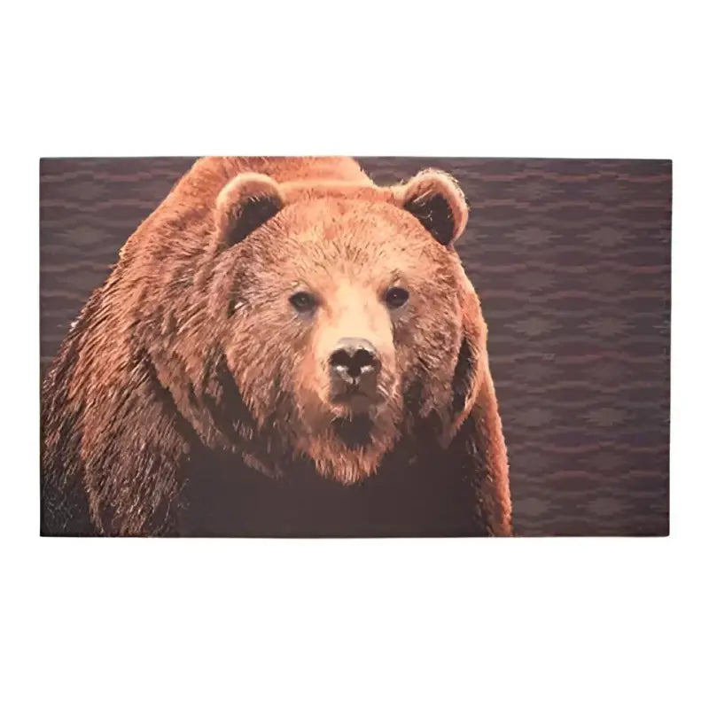 STRB-14732-12 Door Mat