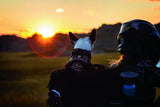 Kuryakyn Grand Pet Palace - RV and Auto Parts
