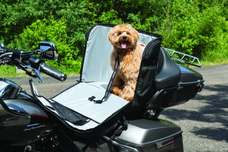 Motorcycle dog carrier Kuryakyn Pet Palace Titan for pets and riders on the go