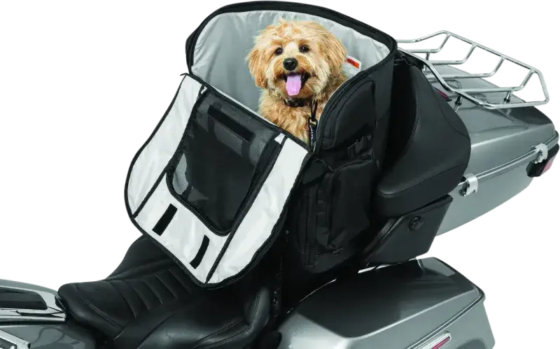 Motorcycle pet carrier with dog in Kuryakyn Pet Palace Titan for safe riding