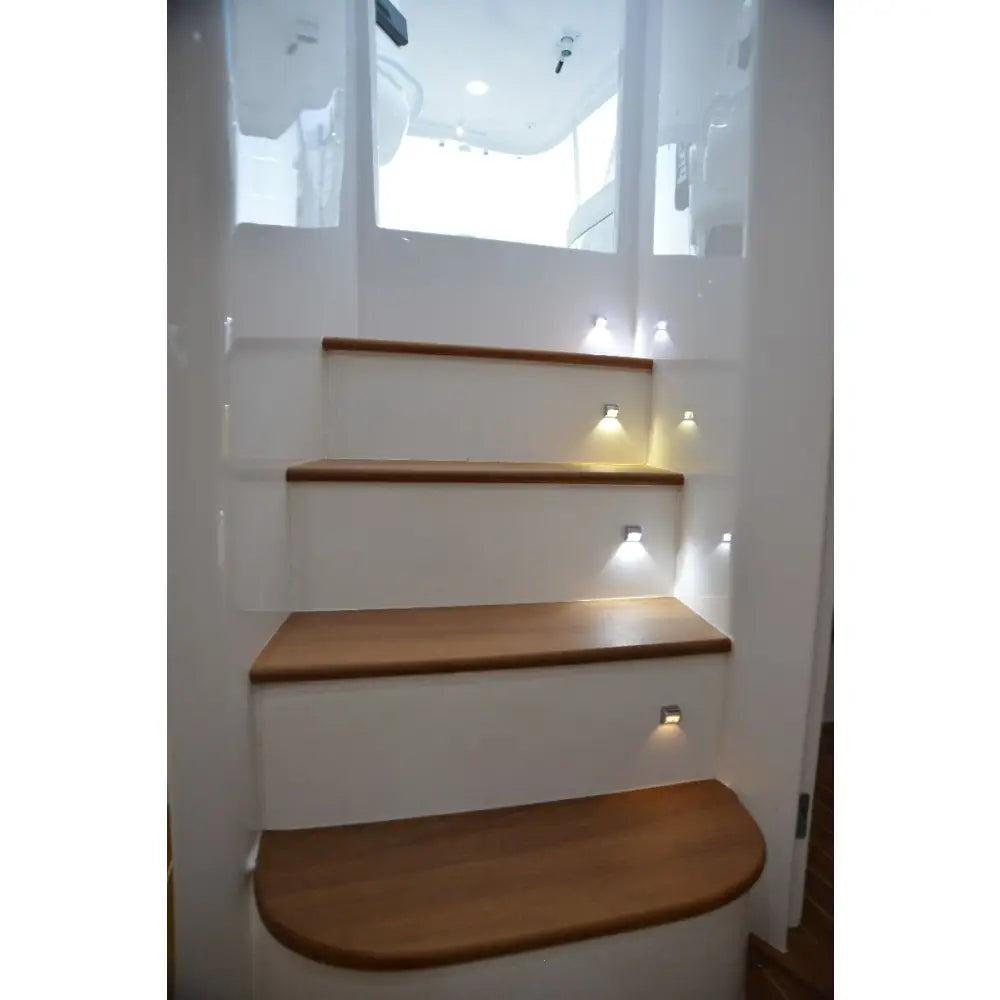 Lumitec CE Certified Courtesy Light - LED 101043 - White Andros SS Lig