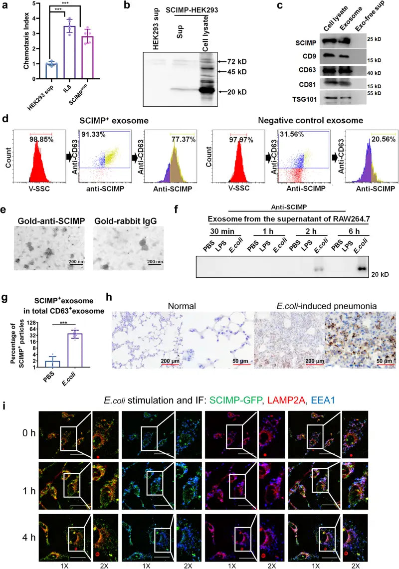 M4550-1 Fab Fours 18 Jp Jl License Plate Bracket mounted on Jeep front-end, constructed from high-quality materials, enhances vehicle appearance, secure license plate mounting solution, RV, Automotive, Powersports, off-road, marine, exterior, truck accessories, interior, truck bed, RV parts, Exterior, Lighting - Towing Clearance Lights, AVADA - Best Sellers, Must Haves