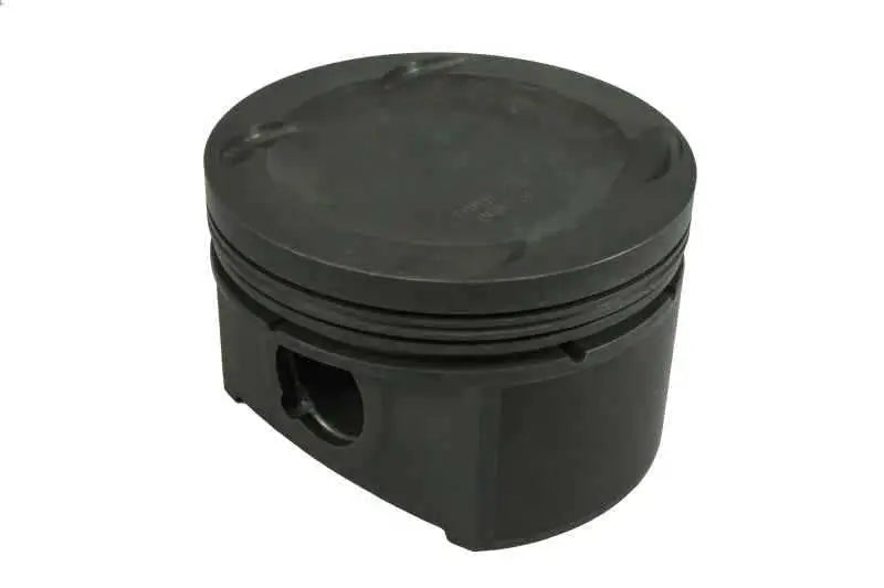 Mahle 930130066