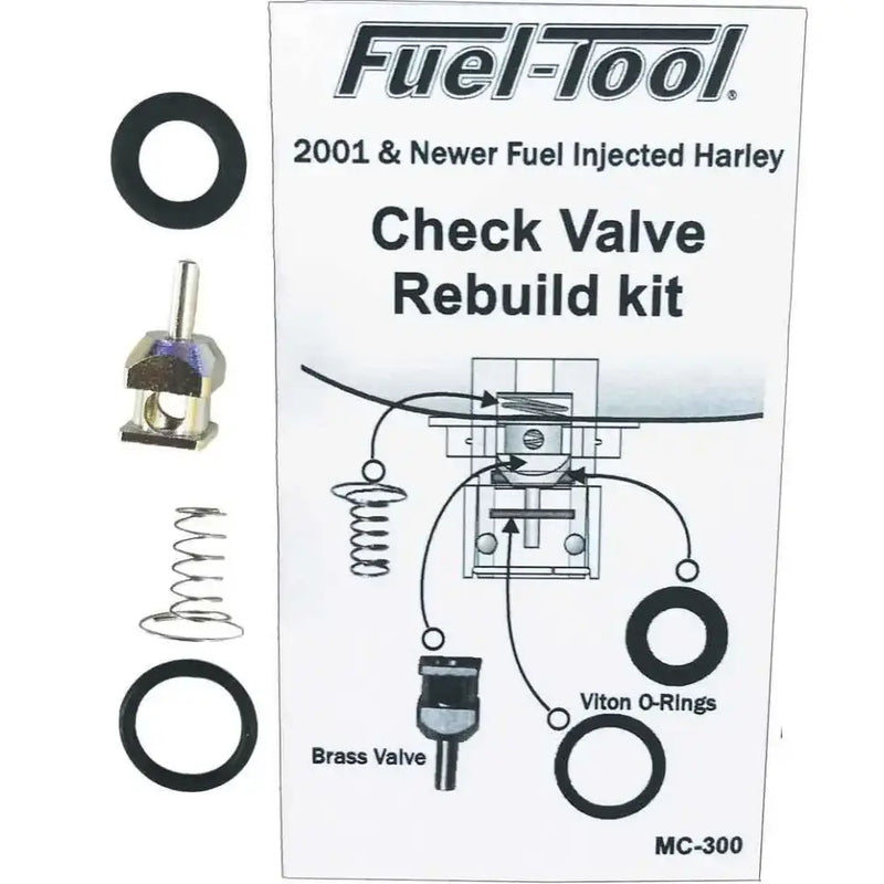 MC300 Check Valve Rebuild Kit