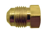 MEP2-6 Fitting Plug/ Fitting Cap