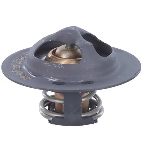 Motor RAD AM MRD100 Thermostat
