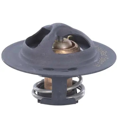 Motor RAD AM MRD100 Thermostat