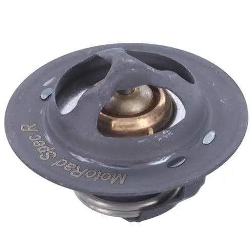 Motor RAD AM MRD100 Thermostat