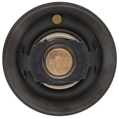 Motor RAD AM MRD101 Thermostat