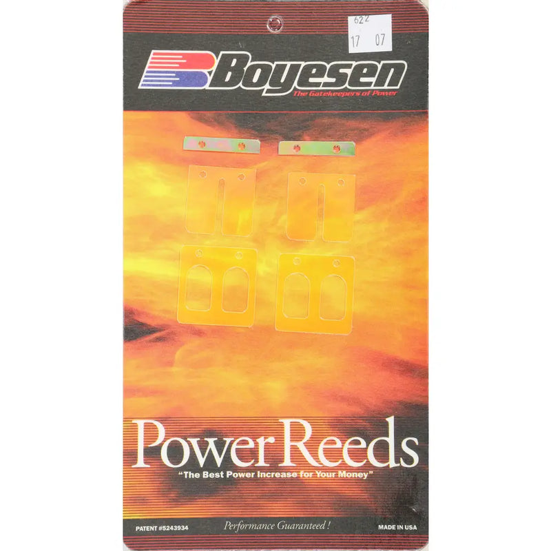 Motorcycle Reeds