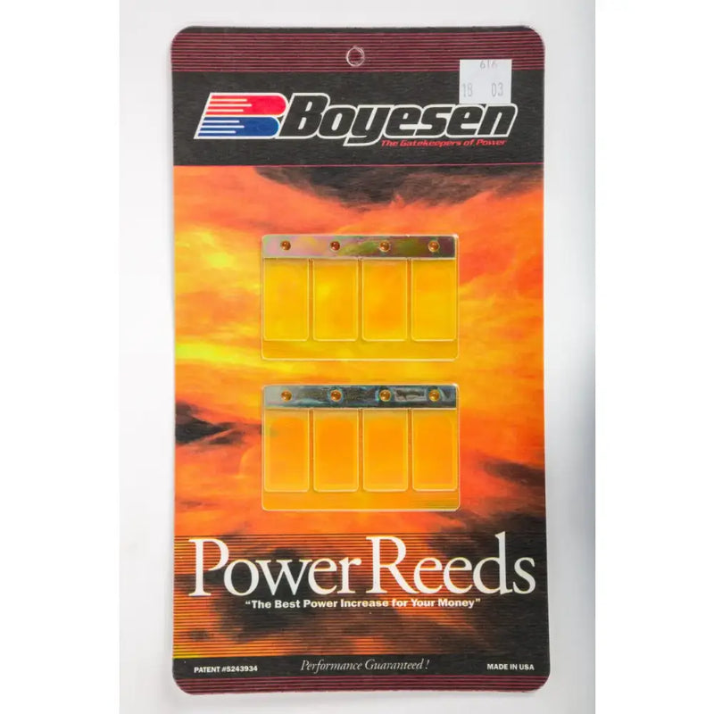 Motorcycle Reeds