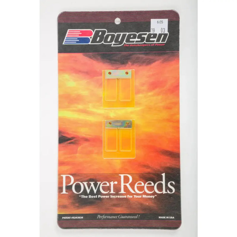 Motorcycle Reeds