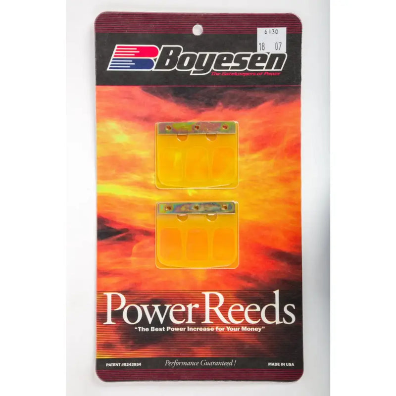 Motorcycle Reeds