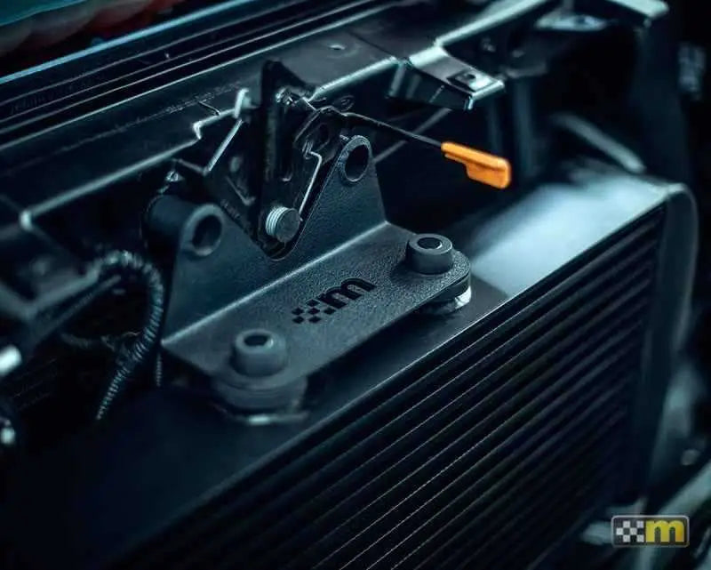 mountune 6000-IC-AA