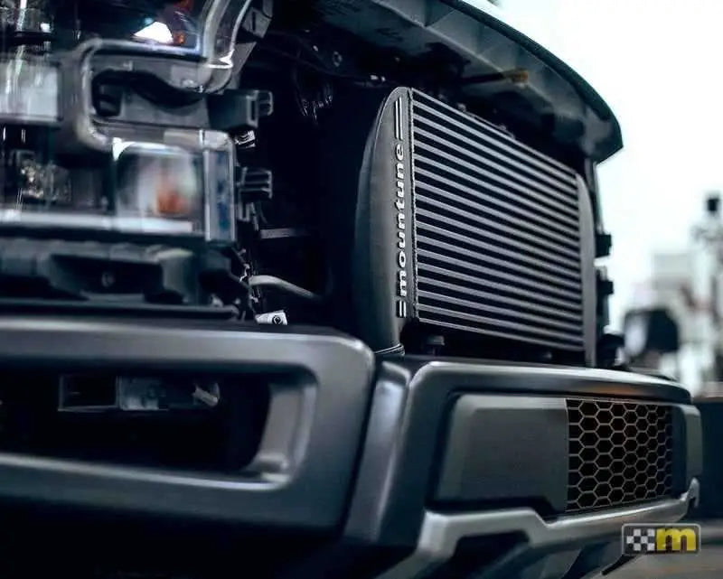 mountune 6000-IC-AA