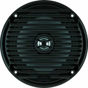 MS6007BR Speaker