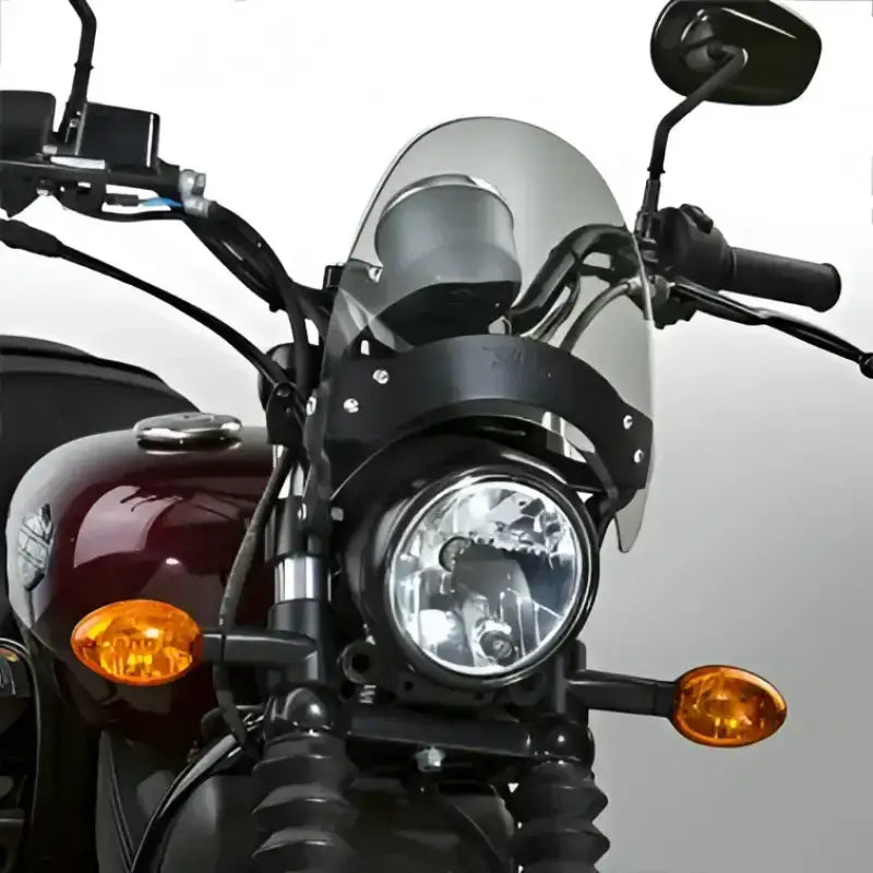 N2530-002 Flyscreen Windscreen Smoke Black Hardware 