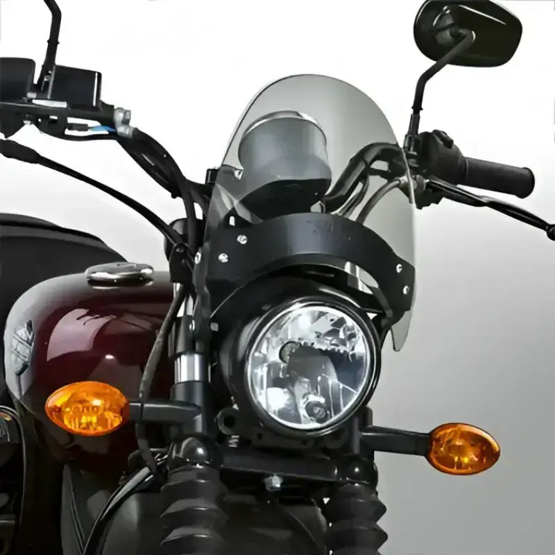 N2530-002 Flyscreen Windscreen Smoke Black Hardware 