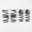 RS-R N281D RS-R 2009+ Infiniti M37 Sport (KY51) Down Sus Springs