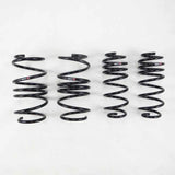 RS-R N281D RS-R 2009+ Infiniti M37 Sport (KY51) Down Sus Springs