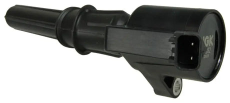 Black ignition coil.