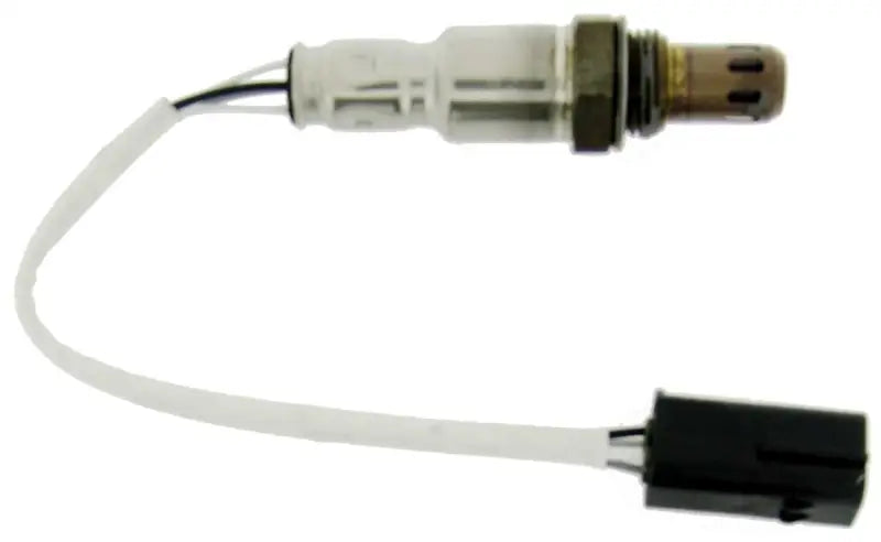 24449 Oxygen Sensor