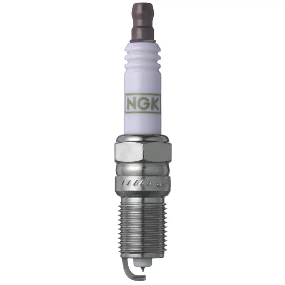 NGK 3403 NGK GP Platinum Spark Plug Box of 4 (TR55GP)
