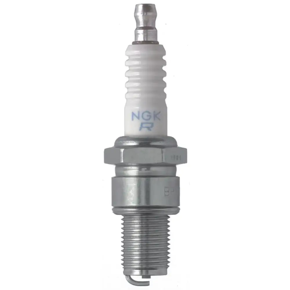 Silver and white NGK spark plug in NGK Traditional Spark Plug Box of 4
