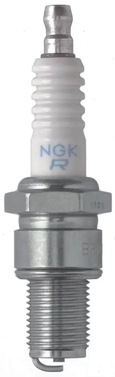 Silver and white NGK traditional spark plug in NGK Traditional Spark Plug Box of 4