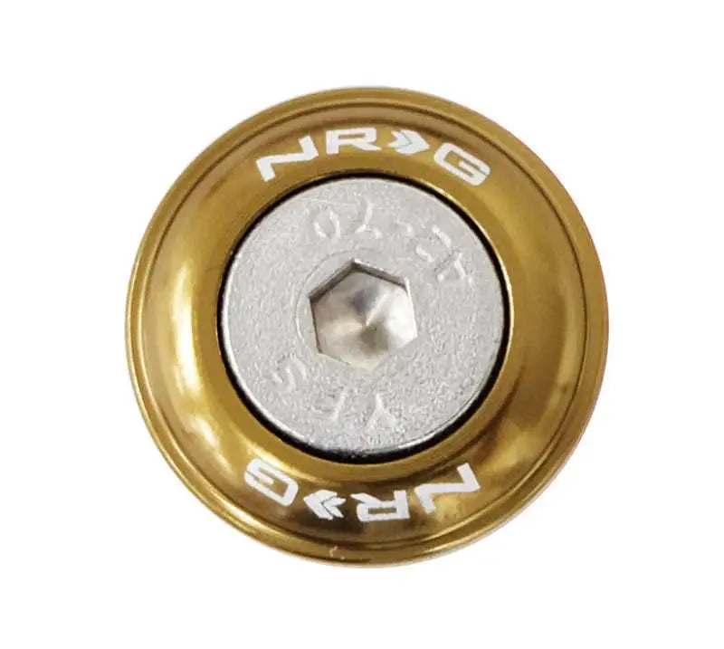 NRG Fender Washer Kit w/Rivets For Plastic (Titanium) - Set of 10 