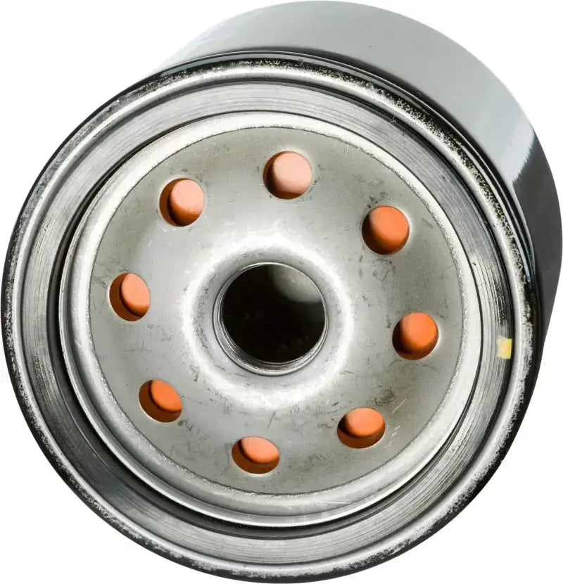 Oil Filter 