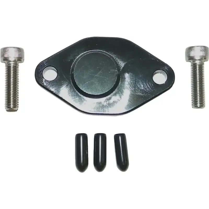 Oil Injection Block Off Plate - Powersports