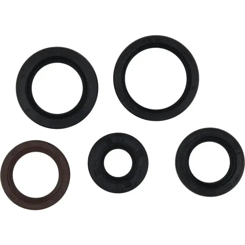 Oil Seal Kit 