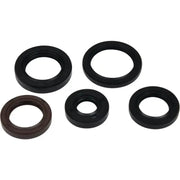 VERTEX Oil Seal Kit