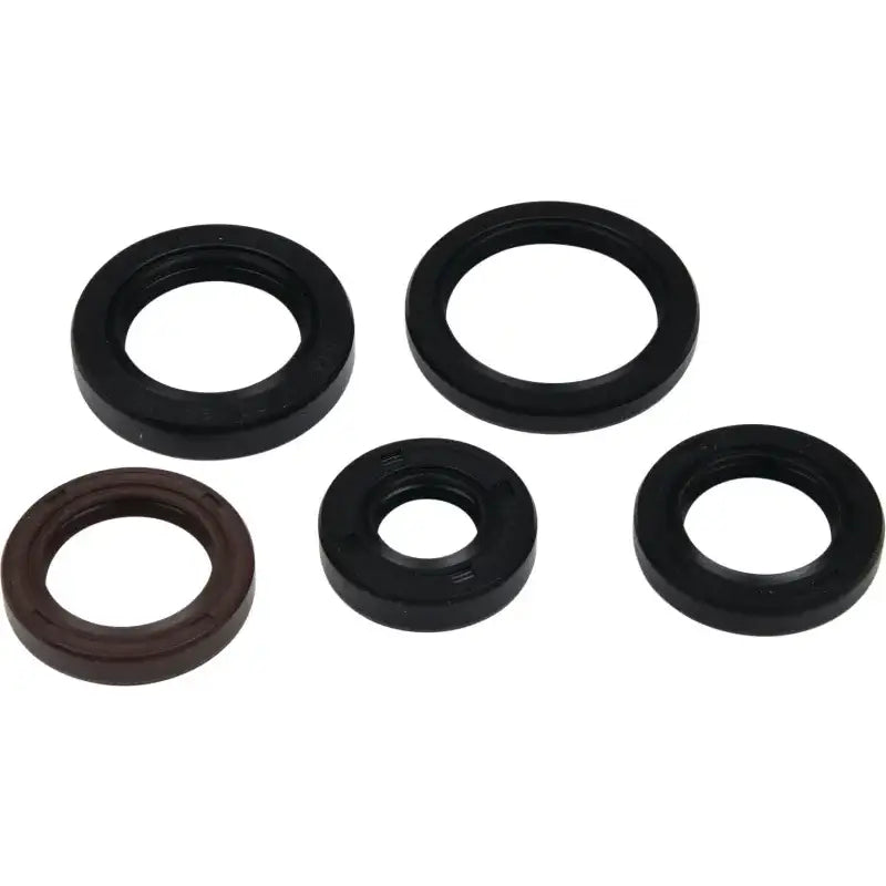 VERTEX Oil Seal Kit
