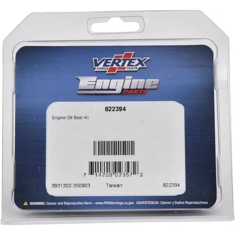 Oil Seal Kit 