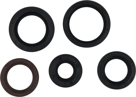 Oil Seal Kit 