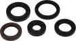 VERTEX Oil Seal Kit