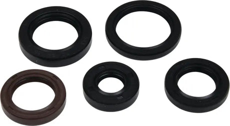 VERTEX Oil Seal Kit