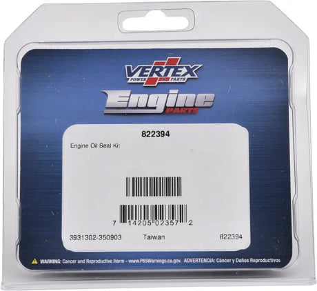 Oil Seal Kit 
