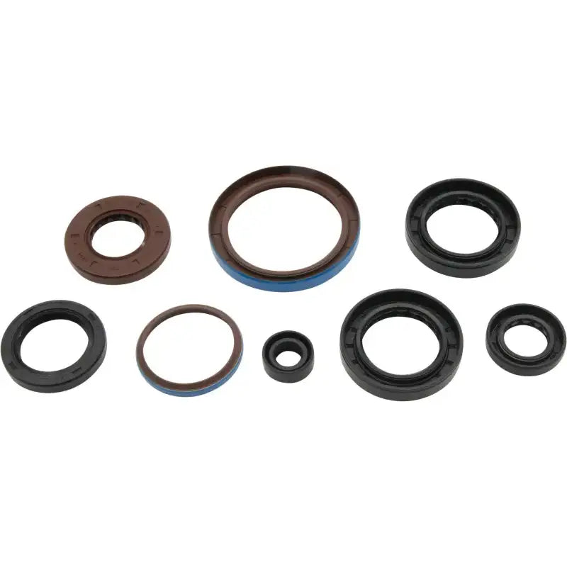 VERTEX Oil Seal Set for Powersports