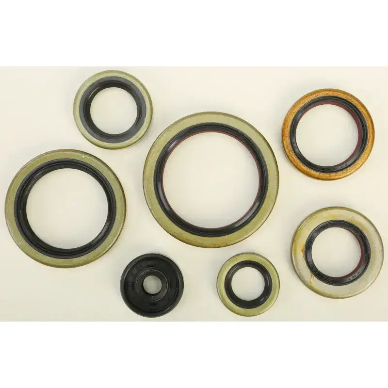 Oil Seal Set - Powersports