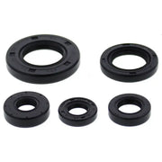 VERTEX Oil Seal Set for Powersports